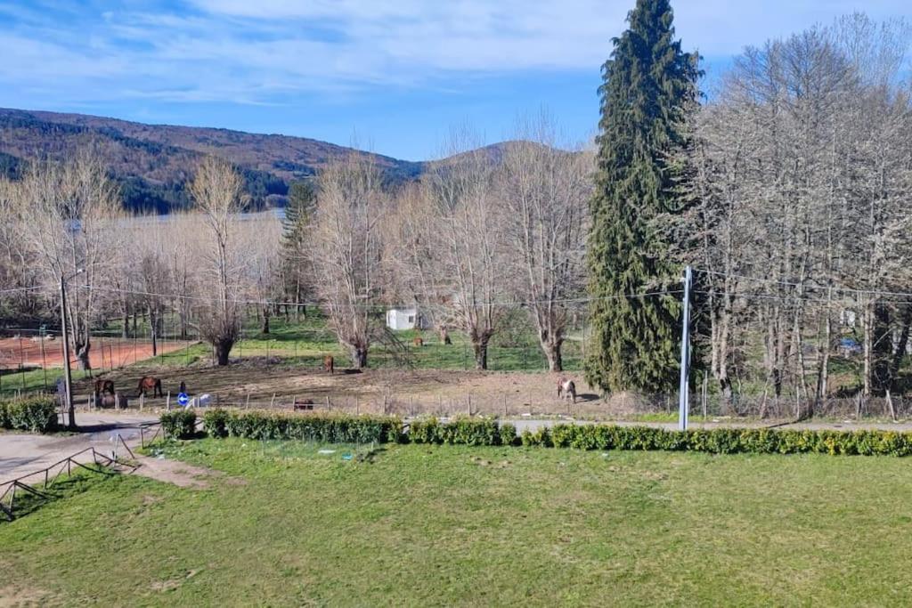 Loricalabria-Appartamento Lorica Le Macchie Zewnętrze zdjęcie